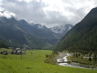 I, Trentino-Sued Tirol, Stelvio National Park, Sulden, Gran Zebru 3, Saxifraga-Jan van der Straaten