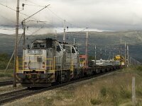 N, Innlandet, Dovre, Fokstumyra 21, Saxifraga-Willem van Kruijsbergen