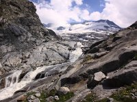 AU, Salzburg, Neukirchen, Obersulzbachtal 3, Saxifraga-Jonathan Vandevoorden