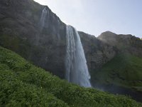 IS, Sudurland, Hvolsvallur, Seljalandsfoss 4, Saxifraga-Peter Stein