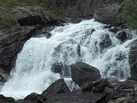 N, Troms, Kaefjord, Gullesfjordbotn 9, Saxifraga-Hans Dekker