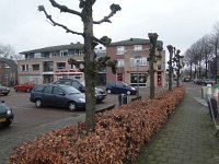 116-397, N, 2013-02-16, Sovon-Ad Willemen 116513-397487, Breda