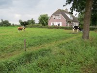 136-388, Z, 2016-8-9, NL-Peter Vlamings, 136600-388308, Hilvarenbeek