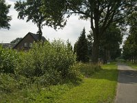 160-399, Z, 2012-08-11, NL-Marijke Verhagen, 160615-399239, Sint Oedenrode