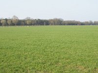 181-378, Asten