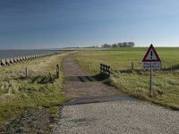 127-549, O, 2011-10-15, NL-Hans Farjon,  52.931574 NB-4.980059 OL, Wieringen