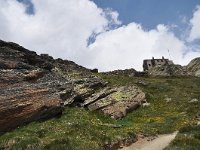 Androsace vandellii 9, habitat, Saxifraga-Harry Jans