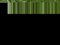 Russula aeruginea