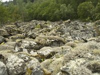 Lichen vegetation on rocks 1, Saxifraga-Willem van Kruijsbergen