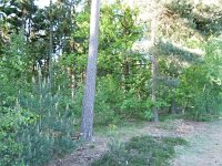 153-451, Utrechtse Heuvelrug