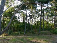 153-453, Utrechtse Heuvelrug