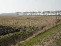 034-392, W, 22-2-2011, NL-Gijs Dijkgraaf, 51.509145 NB-3.651440 OL, Middelburg