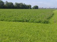 073-413, Z, 2011-08-20, NL- RIK KRUIT, 073300-413505, OOSTFLAKKEE