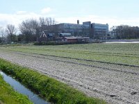 092-474, Z, 2012-04-13, NL-Jelle van Dijk, 52.25423 NB- 4.471821 OL, Noordwijkerhout