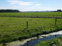 093-476, Z, 2012-08-03, NL-Jelle van Dijk, 52.27330 NB- 4.484052 OL, Noordwijkerhout