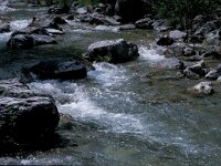 Rana graeca 3, habitat, Pieria, Dion-Olympos, Greece, Saxifraga-Jan van der Straaten