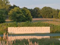 Riparia riparia 88, Oeverzwaluw, Saxifraga-Tom Heijnen