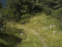 Melitaea parthenoides 2, Westelijke parelmoervlinder, F, Isere, Gresse-en-Vercors, Saxifraga-Jan van der Straaten