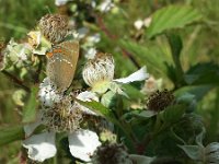 Satyrium ilicis 40, Bruine eikenpage, Saxifraga-Ben Delbaere  METADATA-START��ûUUUUUUÞ­¾ï���2�����	ñ�ã���øUUUUUUUUÞ­¾ï��������UUUUUUUUÞ­¾ïUUUUUUUUÞ­¾ï��UU���UUUUUUUUÞ­¾ï��UUUUUUUUUUUUUUUUUUUUUUUUUUUUUUUUUUUUUUUUUUUUUUUUUUUUUUUUUUUUUUUUUUUUUUUUUUUUUUUUUUUUUUUUUUUUUUUUUUUUUUUUUUUUUUUUUUUUUUUUUUUUUUUUUUUUUUUUUUUUUUUUUUUUUUUUUUUUUUUUUUUUUUUUUUUUUUUUUUUUUUUUUUUUUUUUUUUUUUÞ­¾ï����UUUUUUUUUUUUUUUUUUUUÞ­¾ï�C�A�LUUUUUUCu�rUU0xDA90UUUUUUUUUUUUUUUUUUUUUUUUUUUUUUUUUUUUUUUUUUUUUUUUUUUUUUUUUUUUUUUUUUUUUUUUÞ­¾ï�T�U�N�AUUUUUUUUUUUUUUUUUUUUUUUUUUUUUUUUUUUUUUUUUUUUUUUUUUUUUUUUUUUUUUUUUUUUUUUUUUUUUUUUUUUUUUUUUUUUÞ­¾ï®®®®F	�Øã�º�
T�&����������������������������������4�-���������ã�����������������������������������������3� �:�þ�Ïÿß�������2��ø������ºUUUUUUUUUUUUUUUUUUUUÞ­¾ïKJKJº��ý�"���� �ÚÜ����"�����	ñ�p�ã���r��r�ªn����¤m�áOÿÿk��Fÿÿ²x�¢Eÿÿ«Cÿÿþÿÿ"u�ßw�w2�w2�wB�w2�w2���R�wB�wB�wB�wB�wB�wB�wB�w2�wB�wB�w2�w2�w2�w2���b���b�wB���R�w2���R�wB�w2�w2�wB�wB�wB�w2�w2�w2�wB���b���b���R���R�wB���R�w2�w2�w2�wB�wB�wB�wB���R�wB���b���R���R���R�wB�wB���R�w2�w2�wB�wB�wB�wB�wB���b�wB���R���R���b�wB�wB�wB�w2�w2�wB�wB�wB�wB�wB���R���b�wB���R���b���b���R���R�wB�wB�w2�w2�wB�wB�wB�wB���R���R�wB�wB���R���b���R���R�w2�wB�w2�w2�w2�w2�w2�wB�wB�wB�wB���R���R���b���R���R�"A�"1���R�wB�w2�w2�w2�w2�wB�wB�wB�wB�3Q���R���R�wB�w2�w2���R�wB�w2�w2�w2�w2���R���R�wB�wB�"A���R���R�w2�w2�w2���R�wB�w2�w2�wB�w2���R�wB���R�wB���R���b���R�w2�w2�wB���R�w2�w2�w2�wB�w2�wB�wB���R�wB���R���R���R�wB�w2�w2�w2�w2�w2�w2�w2�w2�w2�wB�w2�wB�wB���R�3Q���R�w2�w2�w2�	�w2�w2�w2�w2�wB�w2�wB�3Q�3Q�"1�3Q�wB�wB�w2�	�	�w2�w2�w2�w2�wB�wB�wB�3Q�3P�"A�3Q���R�wB�wB�	�	�"1�"A�"A�w2�wB���R���R���R�w2�wB�"A�wB�wB�w2�w2�	�w2�wB�wB�w2�������������Àð���ÆR�»¤���³s�������������������������������������ÉÊ�������¥'�������������������������ª���§�ª���§�ª���§�ª���§�ª���£`��������������������������������UUUUUUUUUUUUUUUUUUUUUUUUUUUUUUUUÞ­¾ï¯¯ÊÊ�=¯V�3��¯¯¯¯�7b� üWD�ÿ&�GË�'%á�1ô$¬�'eê¾�,Õ¸¾�-)Ï�2òá�2kó�.¶�(ÿç�2Nç�2ð������������������������������������������������������������������������������������������������������������������������������������������������������������¯¯¯¯��L��8�f�r�3�UUUUUUUUUUUUUUUUÞ­¾ïUUUUUUUUUUUUUUUUUUUUUUUUUUUUUUUUUUUUUUUUUUUUUUUUUUUUUUUUUUUUUUUUUUUUUUUUUUUUUUUUÞ­¾ïUUUUUUUUUUUUUUUUUUUUUUUUUUUUUUUUUUUUUUUUUUUUUUUUUUUUUUUUUUUUUUUUUUUUUUUUUUUUUUUUUUUUUUUUUUUUUUUUUUUUUUUUUUUUUUUUUUUUUUUUUUUUUUUUUUUUUUUUUUUUUUUUUUUUUUUUUUUUUUUUUUUUUUUUUUUUUUUUUUUUUUUUUUUUUUUUUUUUUUUUUUUUUUUUUUUUUUUUUUUUUUUUUUUUUUUUUUUUUUUUUUUUUUUUUUUUUUUUUUUUUUUUUUUUUUUUUUUUUUUUUUUUUUUUUUUUUUUUUUUUUUUUUUUUUUUUUUUUUUUUUUUUUUUUUUUUUUUUUUUUUUUUUUUUUUUUUUUUUUUUUUUUUUUUUUUUUUUUUUUUUUUUUUUUUUUUUUUUUUUUUUUUUUUUUUUUUUUUUUUUUUUUUUUUUUUUUUUUUUUUUUUUUUUUUUUUUUUUUUUUUUUUUUUUUUUUUUUUUUUUUUUUUUUUUUUUUUUUUUUUUUUUUUUUUUUUUUUUUUUUUUUUUUUUUUUUUUUUUUUUUUUUUUUUUUUUUUUUUUUUUUUUUUUUUUUUUUUUUUUUUUUUUUUUUUUUUUUUUUUUUUUUUUUUUUUUUUUUUUUUUUUUUUUUUUUUUUUUUUUUUUUUUUUUUUUUUUUUUUUUUUUUUUUUUUUUUUUUUUUUUUUUUUUUUUUUUUUUUUUUUUUUUUUUUUUUUUUUUUUUUUUUUUUUUUUUUUUUUUUUUUUUUUUUUUUUUUUUUUUUUUUUUUUUUUUUUUUUUUUUUUUUUUUUUUUUUUUUUUUUUUUUUUUUUUUUUUUUUUUUUUUUUUUUUUUUUUUUUUUUUUUUUUUUUUUUUUUUUUUUUUUUUUUUUUUUUUUUUUUUUUUUUUUUUUUUUUUUUUUUUUUUUUUUUUUUUUUUUUUUUUUUUUUUUUUUUUUUUUUUUUUUUUUUUUUUUUUUUUUUUUUUUUUUUUUUUUUUUUUUUUUUUUUUUUUUUUUUUUUUUUUUUUUUUUUUUUUUUUUUUUUUUUUUUUUUUUUUUUUUUUUUUUUUUUUUUUUUUUUUUUUUUUUUUUUUUUUUUUUUUUUUUUUUUUUUUUUUUUUUUUUUUUUUUUUUUUUUUUUUUUUUUUUUUUUUUUUUUUUUUUUUUUUUUUUUUUUUUUUUUUUUUUUUUUUUUUUUUUUUUUUUUUUUUUUUUUUUUUUUUUUUUUUUUUUUUUUUUUUUUUUUUUUUUUUUUUUUUUUUUUUUUUUUUUUUUUUUUUUUUUUUUUUUUUUUUUUUUUUUUUUUUUUUUUUUUUUUUUUUUUUUUUUUUUUUUUUUUUUUUUUUUUUUUUUUUUUUUUUUUUUUUUUUUUUUUUUUUUUUUUUUUUUUUUUUUUUUUUUUUUUUUUUUUUUUUUUUUUUUUUUUUUUUUUUUUUUUUUUUUUUUUUUUUUUUUUUUUUUUUUUUUUUUUUUUUUUUUUUUUUUUUUUUUUUUUUUUUUUUUUUUUUUUUUUUUUUUUUUUUUUUUUUUUUUUUUUUUUUUUUUUUUUUUUUUUUÞ­¾ï�����¸&UUUUUUUUUUUUUUUUUUUUUUUUUUUUUUUUÞ­¾ïUUUUMETADATA-END