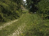 Aricia agestis 4, Bruin blauwtje, habitat, F, Isere, Gresse-en-Vercors, Chauplane, Saxifraga-Jan van der Straaten