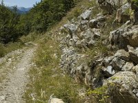 Erebia aethiops 5, Zomererebia, habitat, F, Drome, Treschenu Creyers, Col de Menee, Saxifraga-Marijke Verhagen