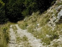 Hipparchia alcyone 5, Kleine boswachter, habitat, F, Drome, Treschenu Creyers, Col de Menee, Saxifraga-Marijke Verhagen