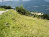 Lasiommata megera 5, Argusvlinder, habitat, F, Isere, Miribel-Lanchatre, Saxifraga-Jan van der Straaten