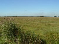 Maculinea alcon 5, Gentiaanblauwtje, habitat, Vlinderstichting-Henk Bosma