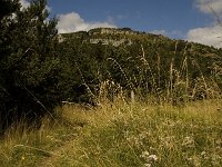 Maculinea rebeli 8, Berggentiaanblauwtje, habitat, F, Isere, Gresse-en-Vercors, Col des Deux, Saxifraga-Jan van der Straaten