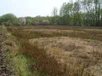 Pyrgus malvae 10, Aardbeivlinder, habitat, Vlinderstichting-Henk Bosma