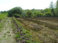 Pyrgus malvae 11, Aardbeivlinder, habitat, Vlinderstichting-Henk Bosma