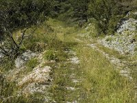 Pyrgus malvae 12, Aardbeivlinder, habitat, F, Isere, Gresse-en-Vercors, Saxifraga-Jan van der Straaten