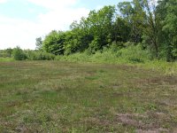 Pyrgus malvae 37, Aardbeivlinder, habitat, Saxifraga-Rudmer Zwerver