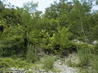 Satyrus ferula 12, Grote saterzandoog, habitat, F, Isere, Miribel-Lanchatre, Saxifraga-Marijke Verhagen