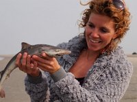 common smooth-hound (mustelus mustelus)  Woman is looking at common smooth-hound (mustelus mustelus) : animal, atlantic, beach, broadkill, coast, common, dogfish, finger, fish, fisheries, gamefish, gladde, hand, inspecting, laughing, looking, mustelus, mustelus mustelus, northsea, ocean, people, places, sand, sea, sealife, shark, shore, smooth-hound, spiney, surf, thumb, united, waddensea, water, wildlife, woman, zandhaai