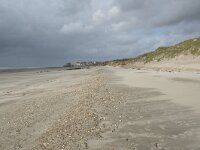 F, Pas-de-Calais, Wimereux, Dunes de la Slack 12, Saxifraga-Willem van Kruijsbergen