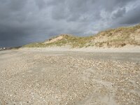 F, Pas-de-Calais, Wimereux, Dunes de la Slack 14, Saxifraga-Willem van Kruijsbergen