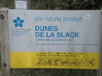 F, Pas-de-Calais, Wimereux, Dunes de la Slack 19, Saxifraga-Willem van Kruijsbergen