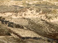 F, Pas-de-Calais, Wimereux, Dunes de la Slack 45, Saxifraga-Foto Fitis-Sytske Dijksen