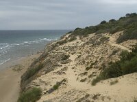 E, Cadiz, Barbate 10, Saxifraga-Willem van Kruijsbergen