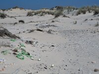 E, Huelva, Almonte, Matelascanas 12, Saxifraga-Jan van der Straaten