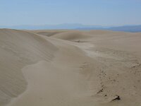 E, Tarragona, Deltebre, El Fangar 1, Saxifraga-Jan van der Straaten