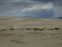 E, Tarragona, Deltebre, El Fangar 30, Saxifraga-Marijke Verhagen