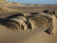 NL, Noord-Holland, Texel, De Hors 183, Saxifraga-Foto Fitis-Sytske Dijksen