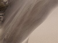 NL, Noord-Holland, Texel, Paal 12 22, Saxifraga-Foto Fitis-Sytske Dijksen