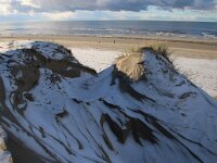 NL, Noord-Holland, Texel, Paal 16 17, Saxifraga-Foto Fitis-Sytske Dijksen