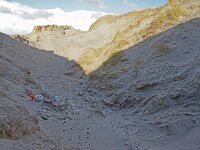 NL, Noord-Holland, Texel, Paal 16 25, Saxifraga-Foto Fitis-Sytske Dijksen