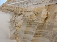 NL, Noord-Holland, Texel, Paal 16 32, Saxifraga-Foto Fitis-Sytske Dijksen