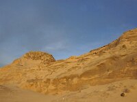 NL, Noord-Holland, Texel, Paal 16 36, Saxifraga-Foto Fitis-Sytske Dijksen