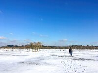 NL, Noord-Holland, Zandvoort, Amsterdamse Waterleidingduinen 7, Saxifraga-Bart Vastenhouw